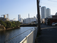 横浜　運河　通り